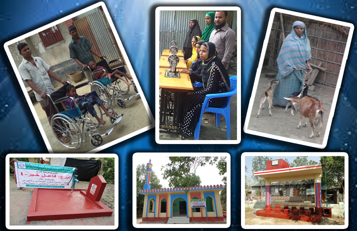 Charity Work Collage